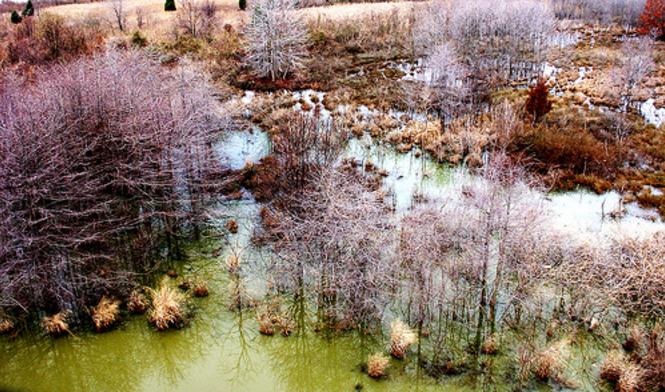 An aerial view of water and trails Greenbury Point Conservation Area.