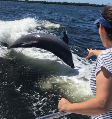 Boat Rental Seekers - dolphin riding the wake