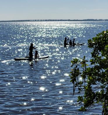 Paddleboarding on beautiful Charlotte Harbor
