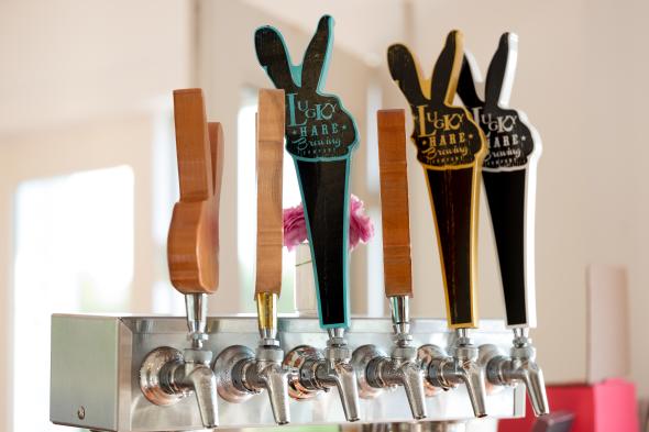 Lucky Hare tap line