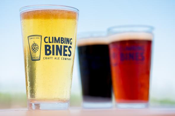 Climbing Bines