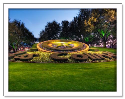Flower Clock Snapshot