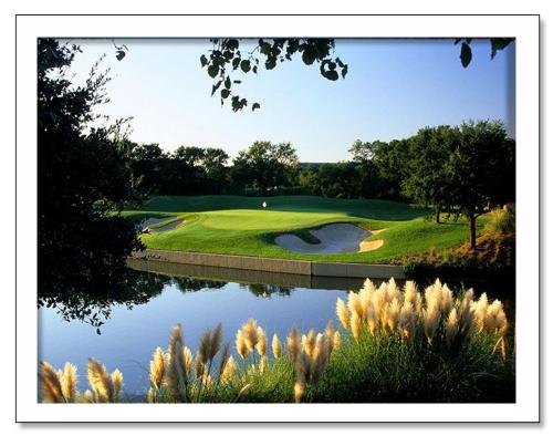 Four Seasons Snapshot with Border