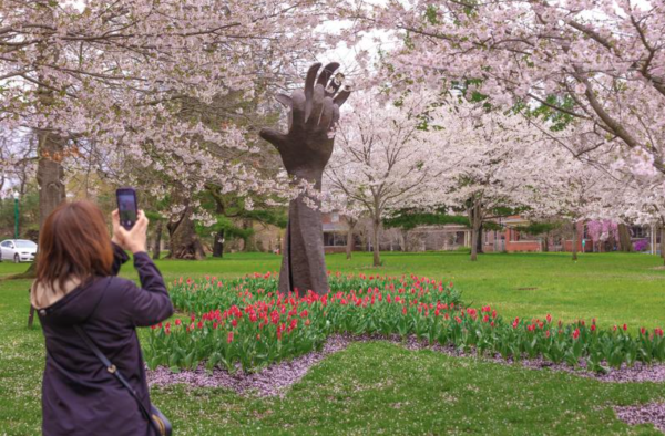 International Garden of Peace