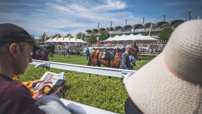 People and racehorses at Goodwood Racecourse