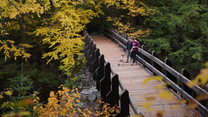 Dells of Eau Claire Bridge View in Fall