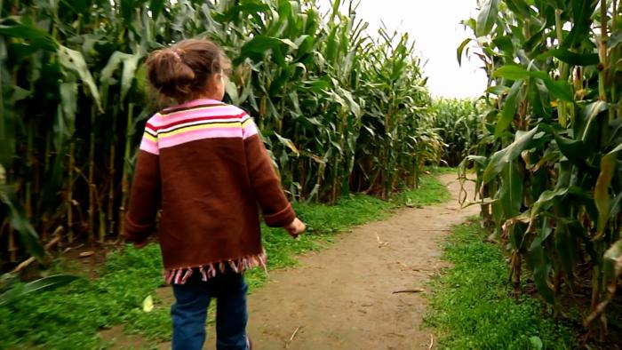 Girl in Corn Maze