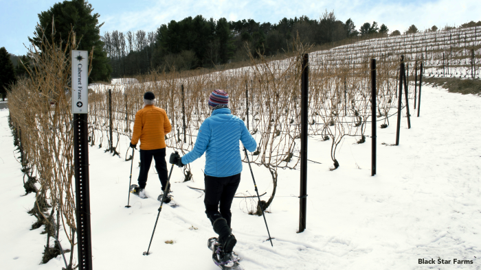 Winter activities at Black Star Farms