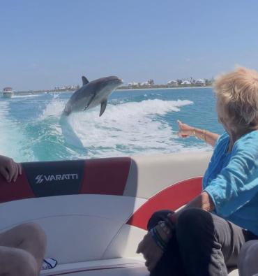Dolphin riding the wake of a Saraboca Wave Co. trip