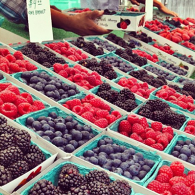 berries-old-towne-orange