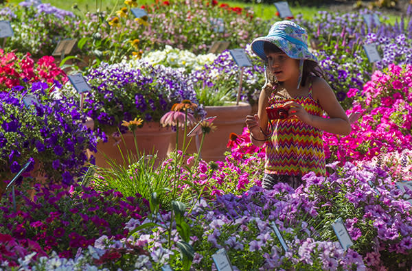 CSU Flower Trial Gardens Girl