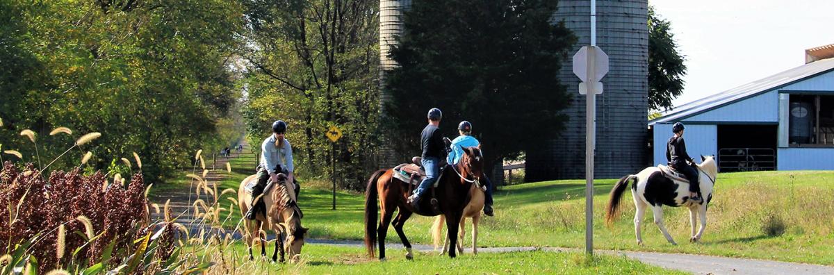 People On Horseback on the Rail Trail