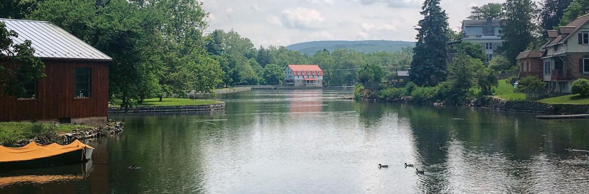 Ducks swim along the edge of Children's Lake in Boiling Springs, PA.
