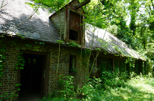 Eugenia Williams House Stables slightly overgrown with vines