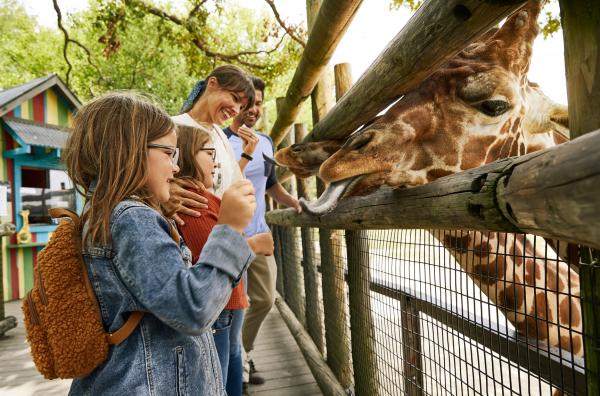 Feeding Giraffes at Dickerson Park Zoo