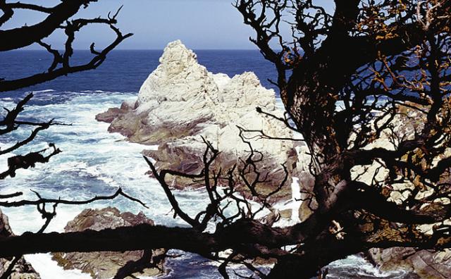Point Lobos State Reserve, Carmel