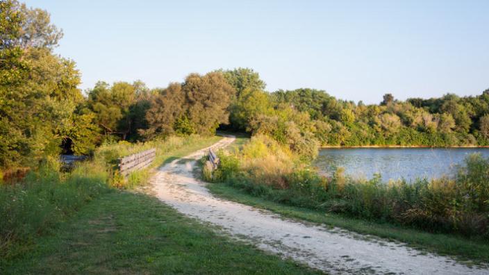 Big Rock Forest Preserve