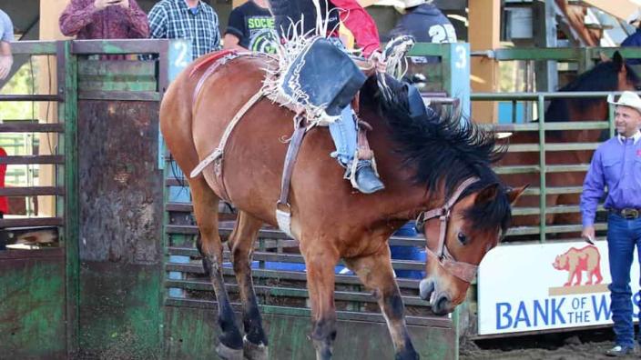 High Country Stampede Rodeo | Fraser, CO