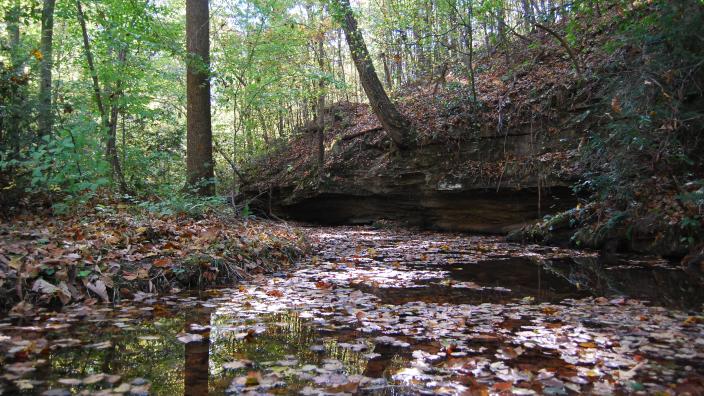 Tuscumbia Nature Preserves