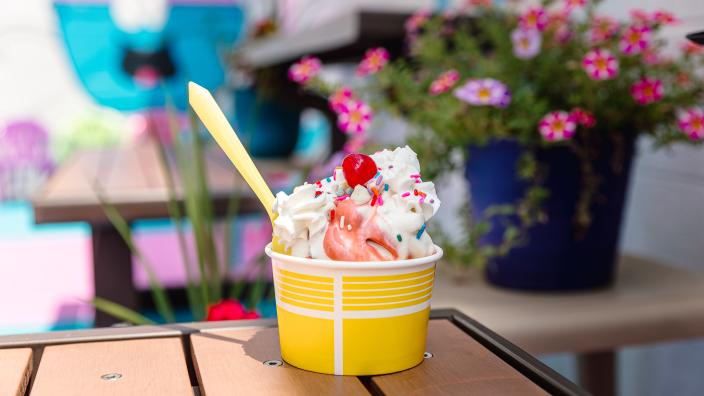 The Froyo Factory