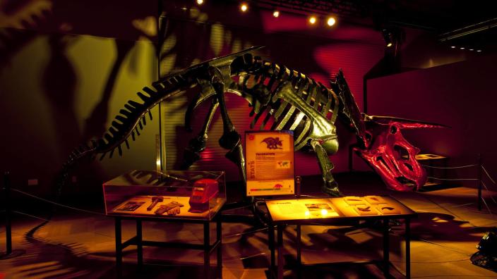 ★レッド・ツェッペリン★Dinosaur In Motion⭐️7CD 美品 Triceratops_Entire-View-scaled