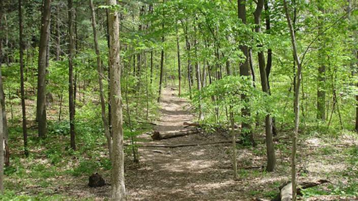 Bird Hills Nature Area