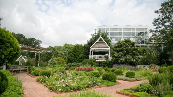 Athens Botanical Garden