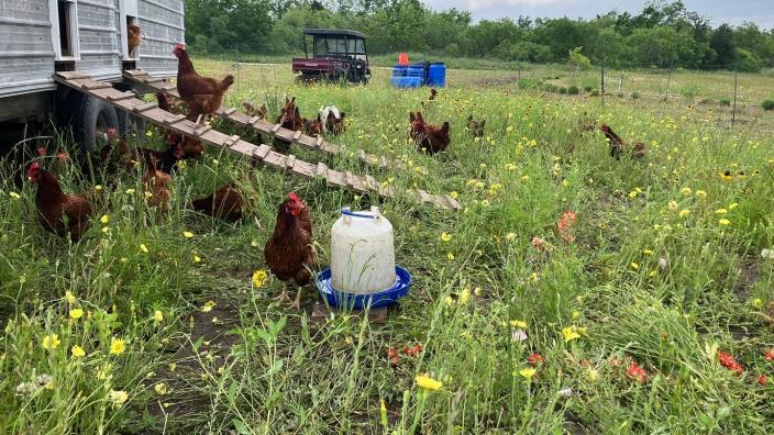 Weaving History in the Blackland Prairie