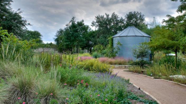 Lady Bird Johnson Wildflower Center Wedding in Austin, Texas