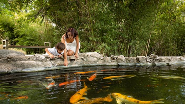 Zilker Botanical Garden