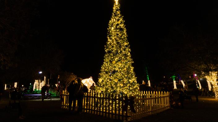 Bastrop's Annual Tree Lighting