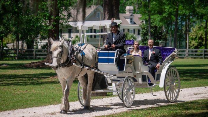 Horse carriage tour clearance