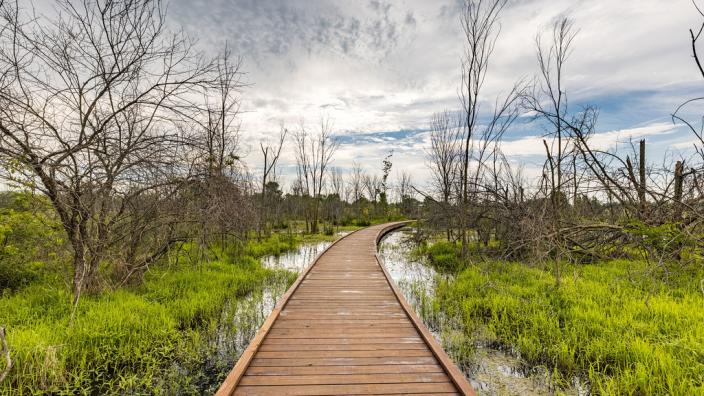 Osage Park (If accesible from Jacksonville)