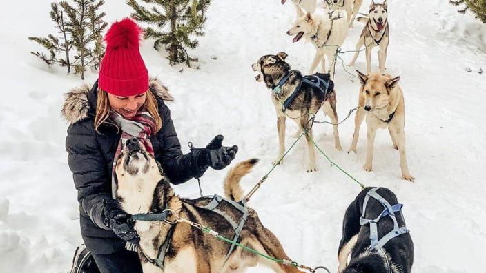 Spirit of the North Sled Dog Adventures