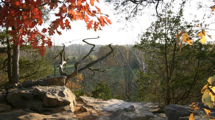 semaglutide cedar bluff Cedar Bluff Nature Preserve