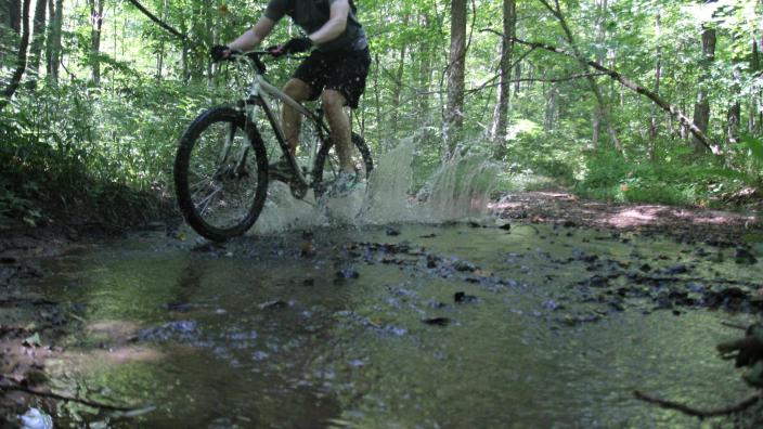 Wapehani Mountain Bike Park