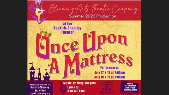 Once Upon a Mattress