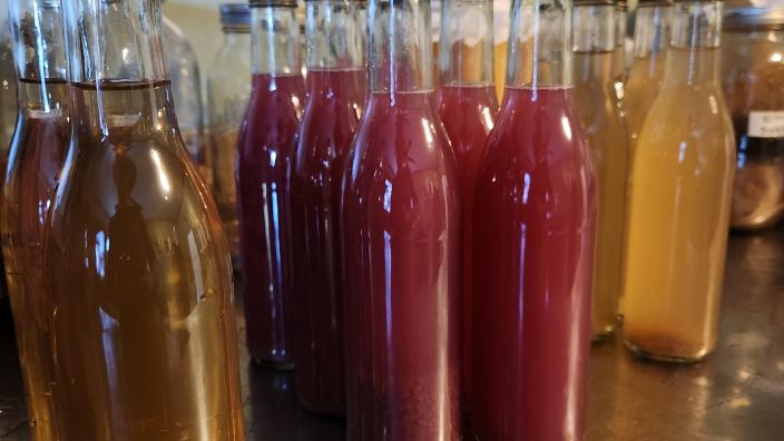 The Alchemy of Vinegar: A Hands-On Experience