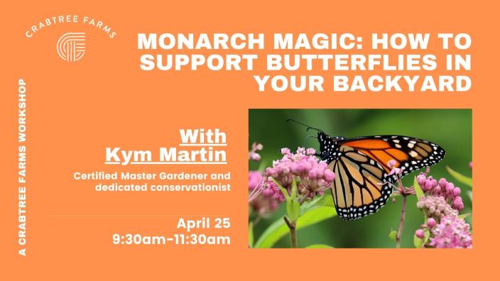 Monarch Magic: How to Support Butterflies in Your Backyard