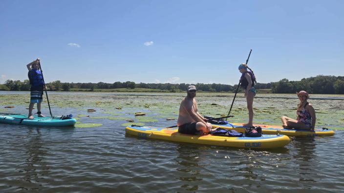 Memorial Day Weekend Group SUP from Blythe Ferry Boat Ramp to Hiwassee Wildlife Reserve
