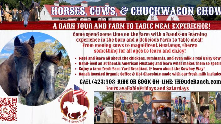 Horses, Cows, & Chuckwagon Chow