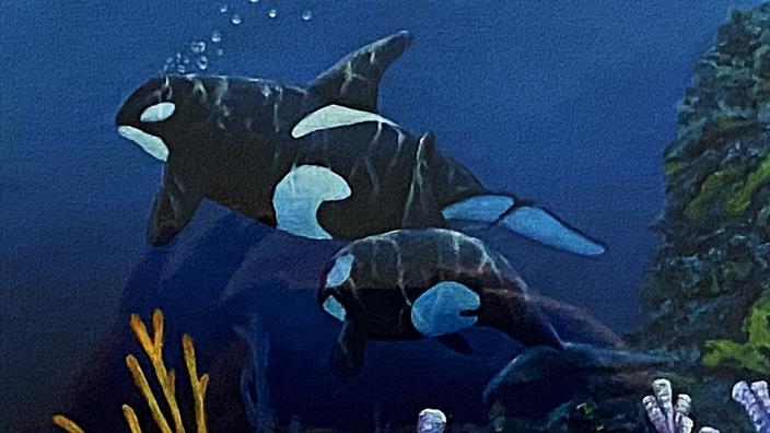 "The Natural World Through the Eyes of Rick Sanders!"
