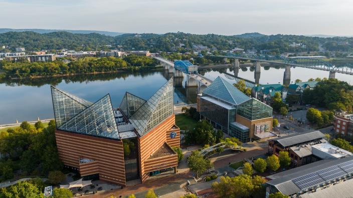 My experience and lessons learned about unexpected aquarium closures