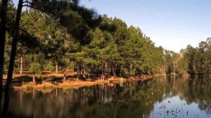 Lone star hiking trail camping shop