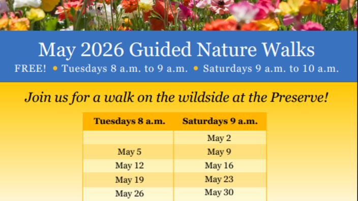 Oso Bay Wetlands Guided Nature Walk — event imagery