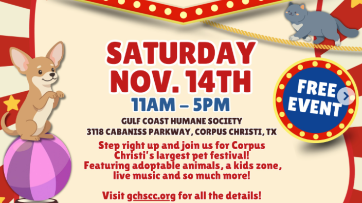Gulf Coast Humane Society's PAWFEST — event imagery