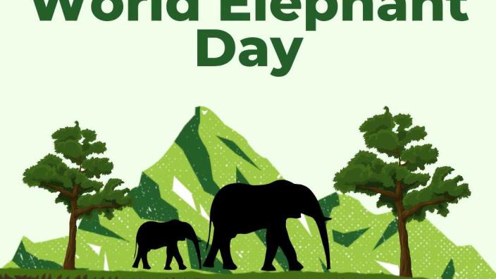 World Elephant Day — event imagery