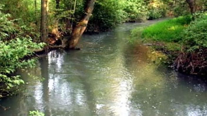 Ten Mile Creek (Greene County)},