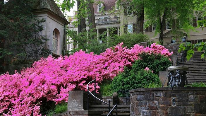 Winterthur Museum, Garden & Library
