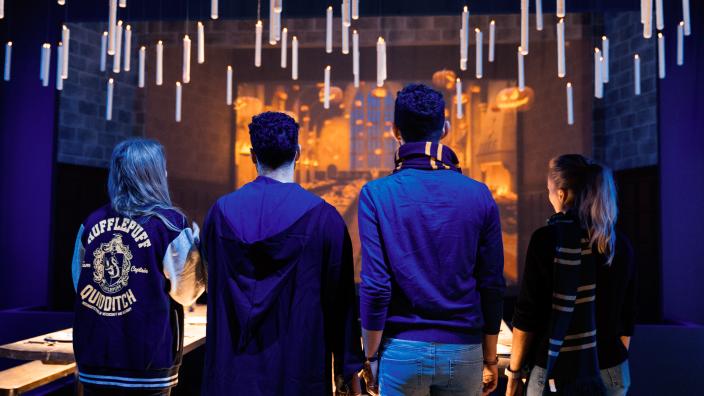 Harry Potter™: The Exhibition
